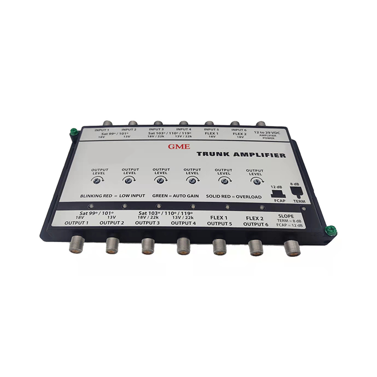 Gdamp-021 amplifier