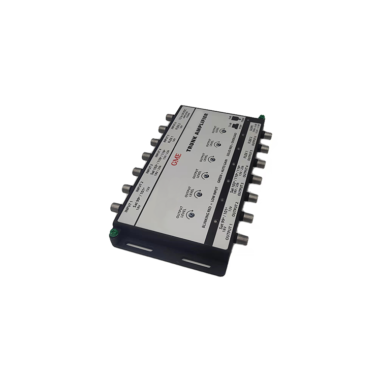 Gdamp-021 amplifier