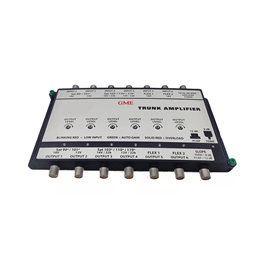 Gdamp-021 amplifier